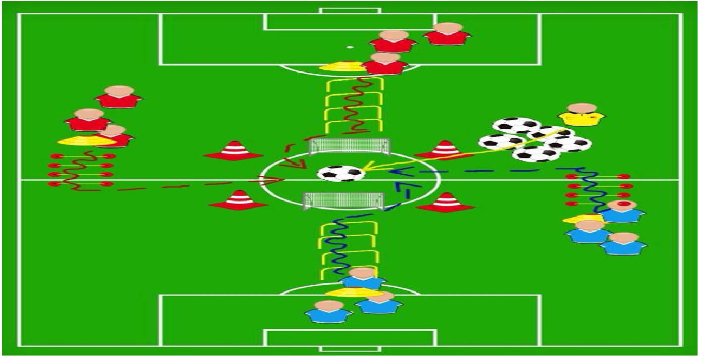 forza elastico reattiva rauso