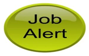 Job Alert: opportunità di lavoro in India
